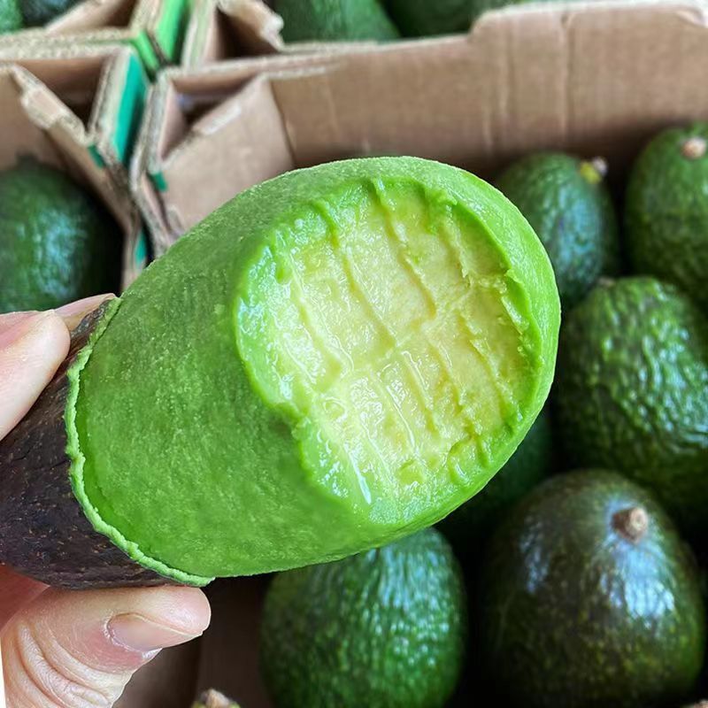 Peruvian Imported Avocado 6-Pack Fresh Seasonal Fruit for Pregnant Women and Baby Food Supplement Whole Box Large Fruit Free Shipping