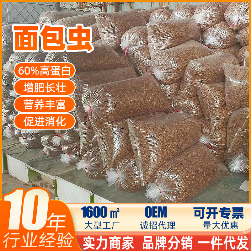 Сушка хлеба в микроволновой печи для экспорта, поддержка червя, малый пакет, стабильное качество, желтый порошок, для хомяков, зерно