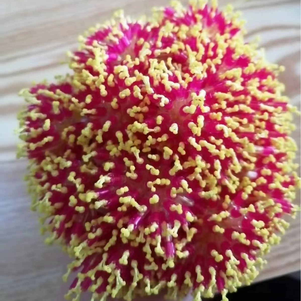 8 серия конкурентоспособной PE лески для укрепления основной линии специальная платформа рыболовные аксессуары 100 штук