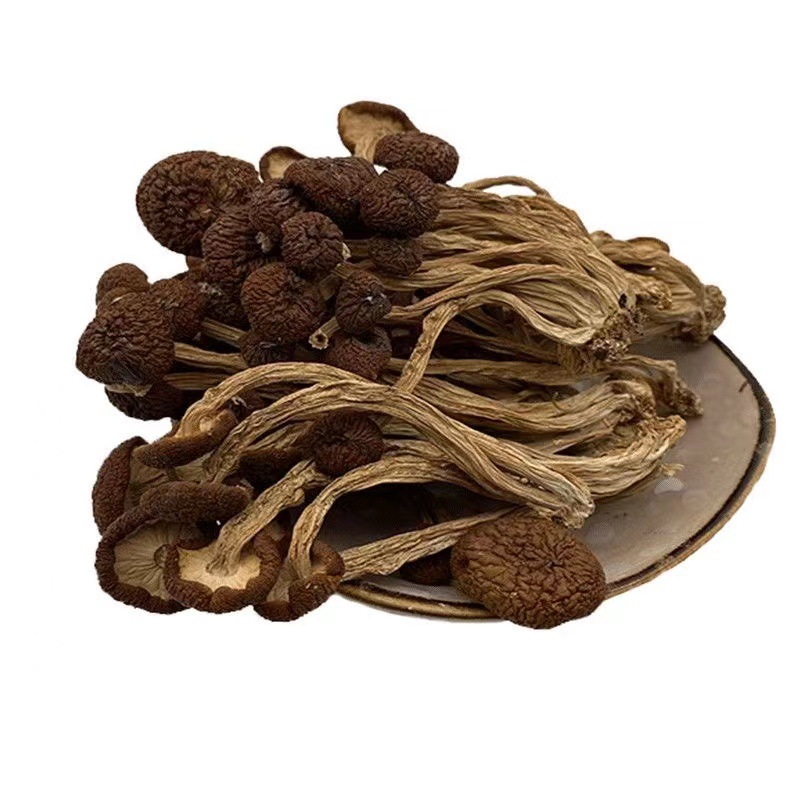 Factory Direct supply Gutian new goods no umbrella tea mushroom dry goods bulk wholesale 500g tea mushroom ice mushroom free shipping