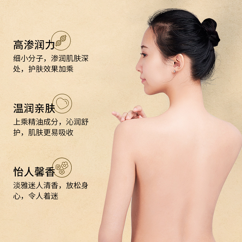 Korean Rose Ginger Mugwort Massage Essential Oil for Gua Sha, Unblocking Meridians, Beauty Salon Special Essential Oil, Body Massage Oil