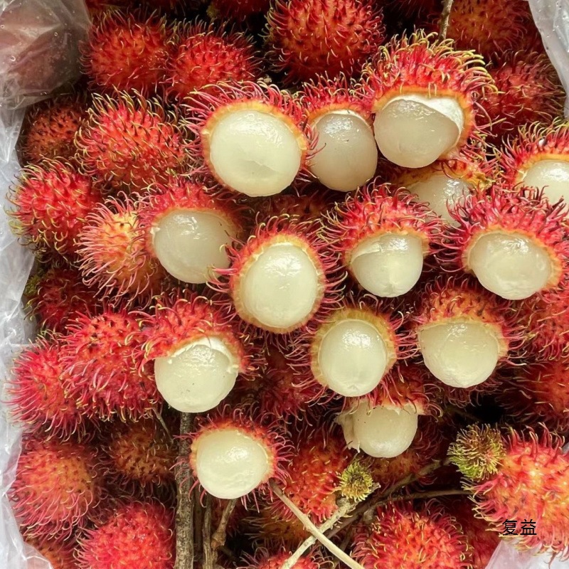 Fresh Rambutan Fruit, Tropical Fresh Fruit, Bad Fruit Will Be Compensated if Picked Now