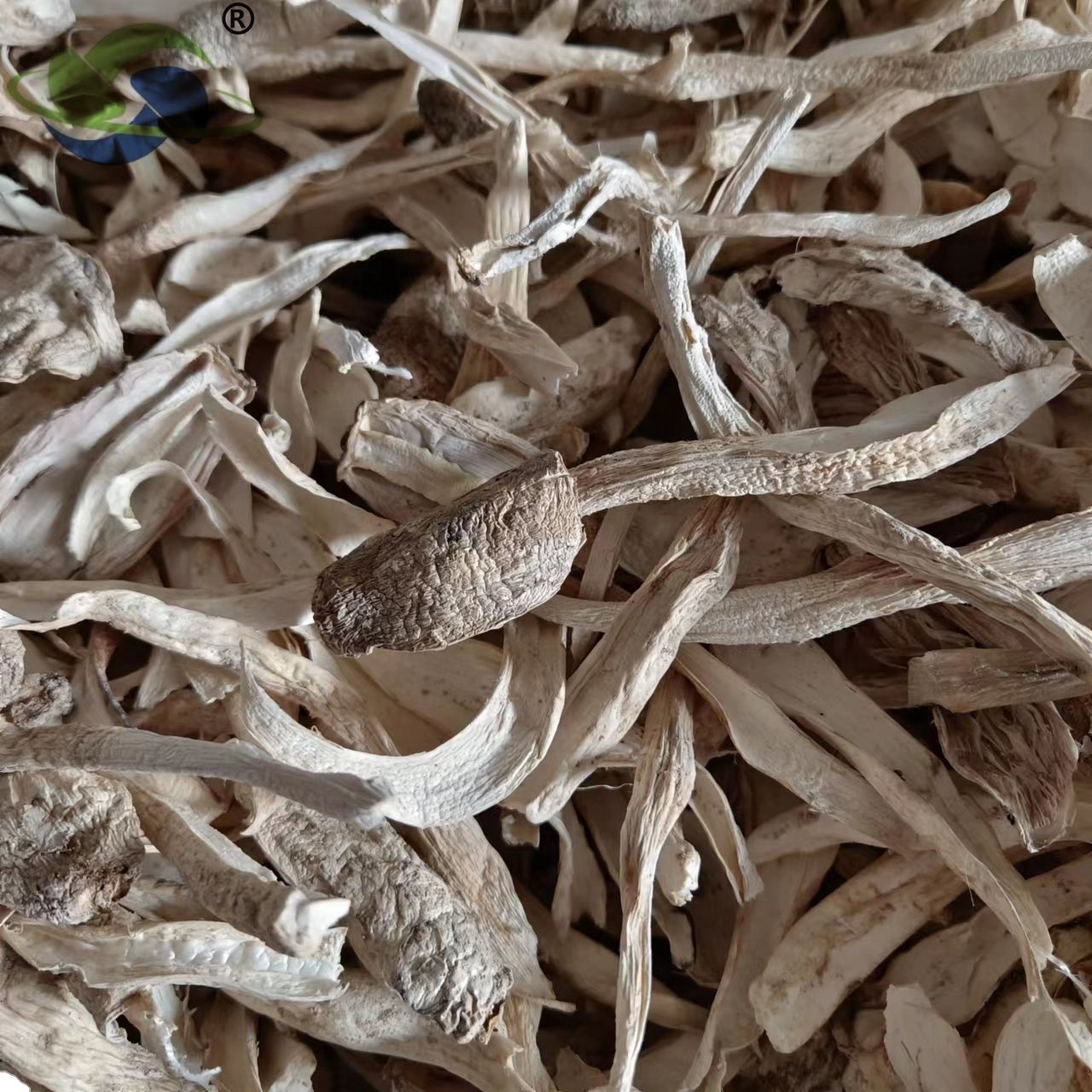 Xinrongyu place of origin direct batch Gutian edible fungus slice Coprinus comatus mushroom dry goods hot pot Ingredients 500g