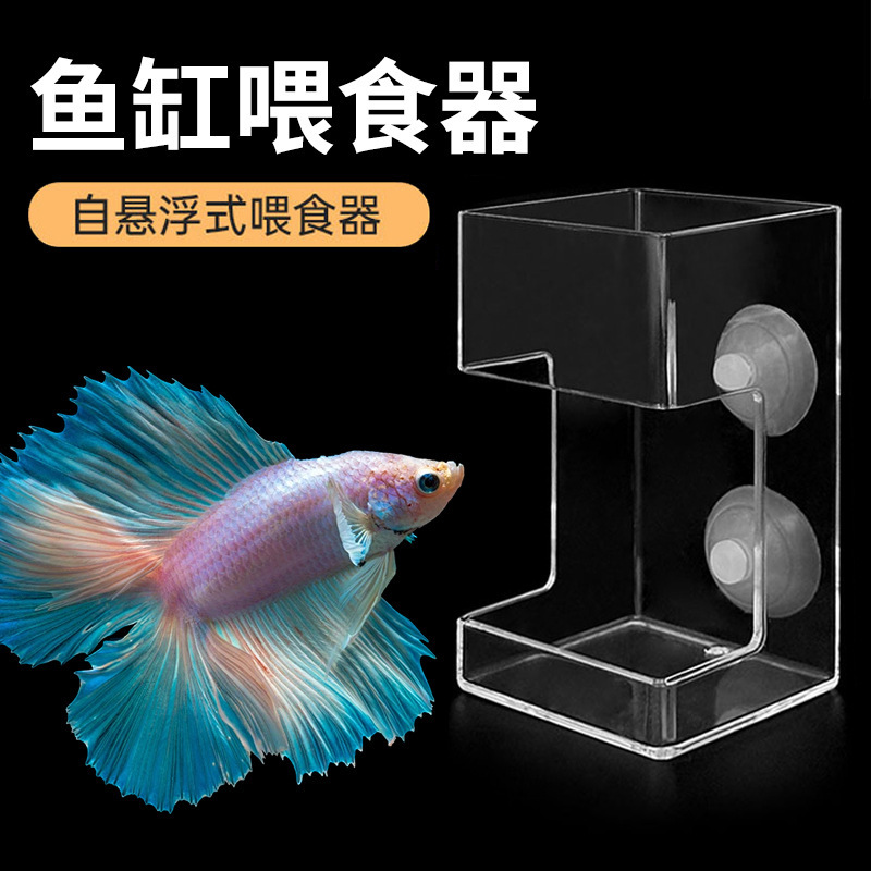 Parrot fish turtle fish tank fish food floating feeding ring suspended fish feeding ring koi large aquarium floating