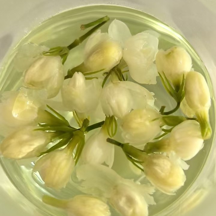 Direct Sales from 2025 ☞ Jasmine Buds