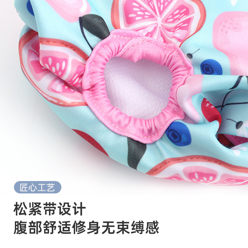Amazon Washable Female Dog Menstrual Pants Diapers Dog Diapers Anti-Harassment Menstrual Pants Diapers Pet Menstrual Pants