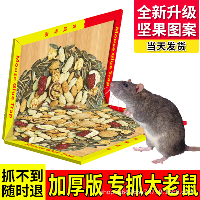 Super Strong Adhesive A3 Mouse Glue Board, Rodent Insecticide Trap, Nut Pattern Sticker, Factory Price Wholesale, Dropshipping Available