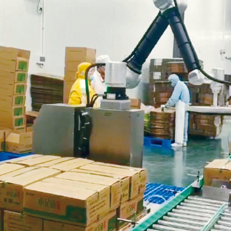 Liftable Fully Automatic Carton Handling Palletizing Column Stacking Collaborative Automatic Industrial Robot Mechanical Arm
