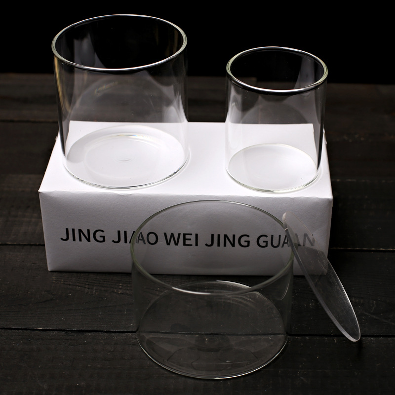 Mini Straight Bottle with Acrylic Lid Moss Micro Landscape Eco Glass Bottle High Transparent Vase Container Dish