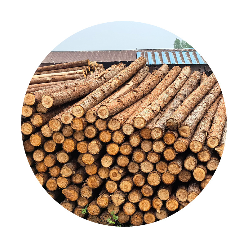 Pine Wood Logs, Peeled and Processed Logs, Pine Wood Logs, Greening Poles, Outdoor Raw Materials, Multi-Specification Forest Farm Direct Sales
