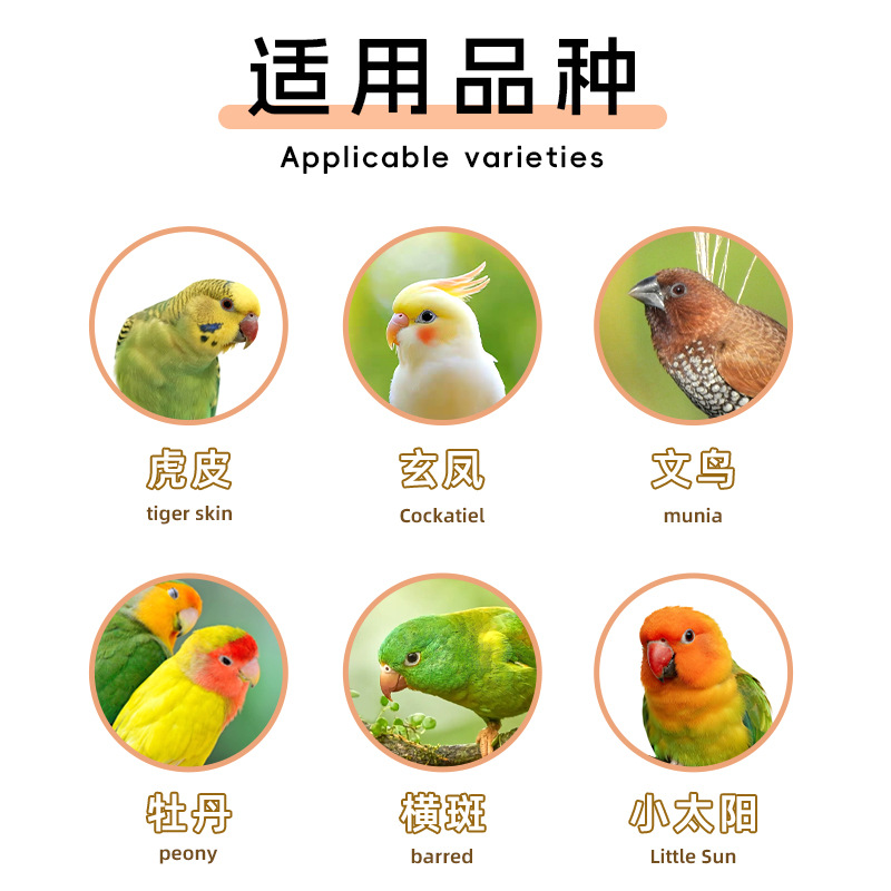 Parrot Chew Sticks, Bird Grain Sticks, Pet Snacks, Bird Food, Mixed Grain Beak Grinding Sticks, Manufacturer Wholesale, Full Platform Dropshipping