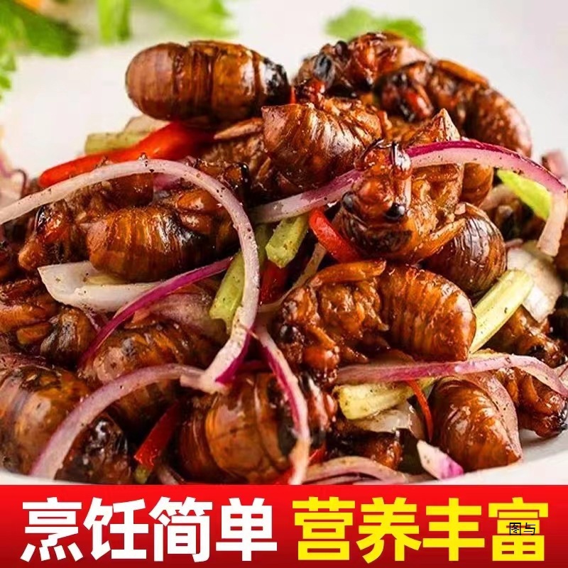 Fresh Live Praying Mantises, Quickly Frozen, Rural Freshly Caught Live Praying Mantises, 200 Pieces