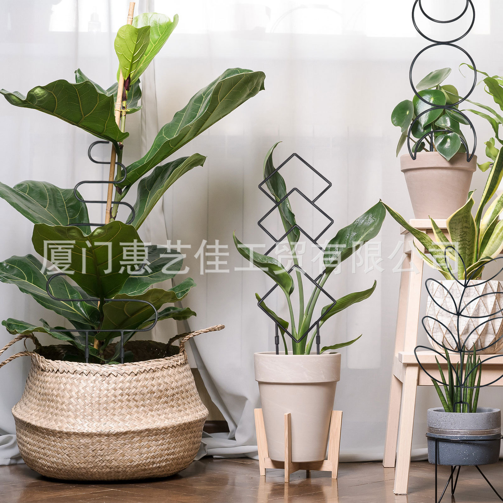 Cross-Border Plant Support Shape Iron Wire Flower Climbing Vine Gardening Plant Support Frame Balcony Potted Plant Fixing Rod
