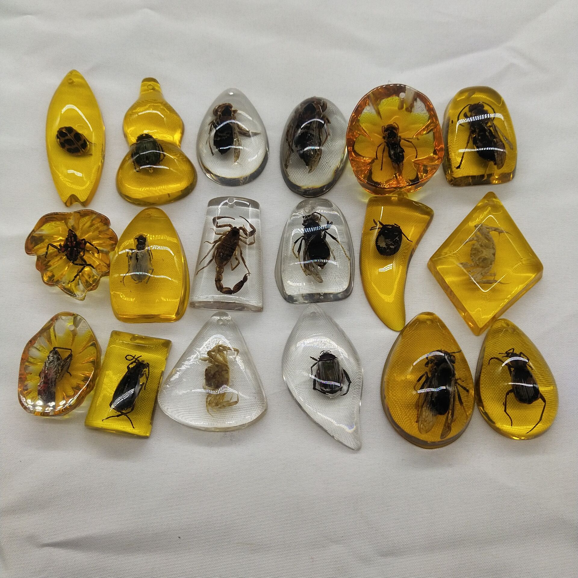 small size True Specimen Insect Amber Accessories Children's Digging Ancient Toys Blind Box Accessories Supply Factory in stock