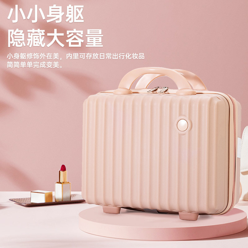 Internet Celebrity New Cosmetic Case Souvenir Mini Round Label Storage Box Women's Lightweight Small Suitcase Luggage