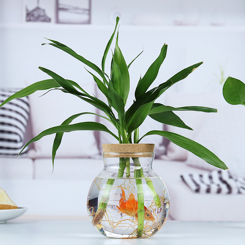 Ins Popular Creative Log Vase Transparent Glass Living Room Flower Arrangement Ornaments Hydroponic Pothos Desktop Ecological Fish Tank