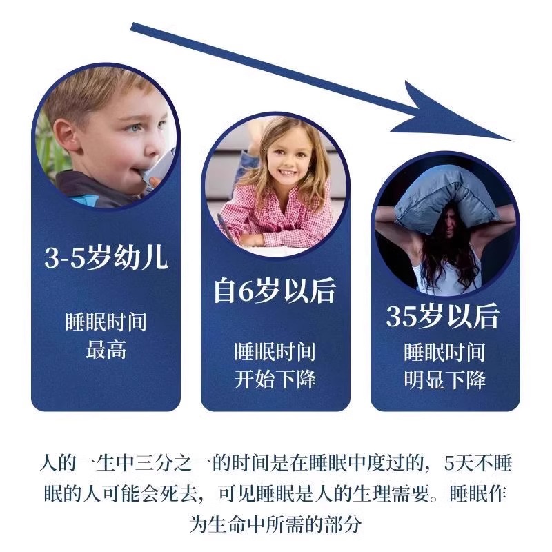 Jujube Kernel Cake, Wolfberry and Longan Paste, Low-Fat Healthy Snacks, Snacks, Gummies, Nutrition, Handmade Independent Packaging