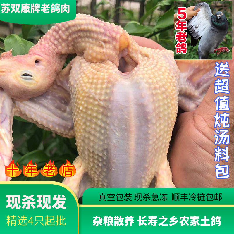 Суп из мяса старого голубя Su Shuangkang ®, фермерские свежезабитые травяные голуби, 5-летние крупные мясные голуби, Sf охлажденные для вашего дома