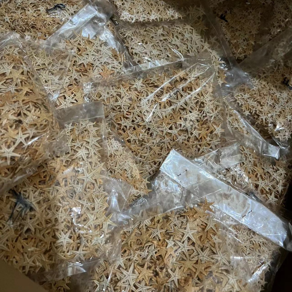 Handmade starfish beige starfish five-finger starfish flat starfish Mediterranean shooting props jewelry 1-2cm