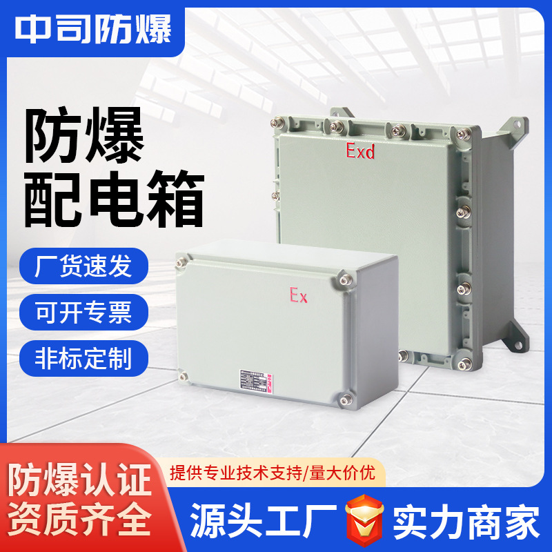 Dust Explosion-Proof Junction Box, Safety Terminal Box, Dust-Proof Cast Aluminum Waterproof Explosion-Proof Lighting Distribution Box, Maintenance Box Manufacturer