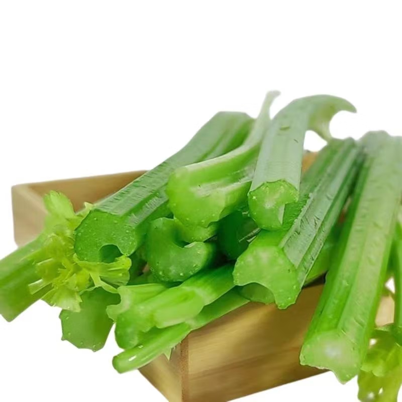 Fresh Celery, Large Half-Leaf Celery, Parsley, Nutritious and Crispy Vegetables, Suitable for Juicing
