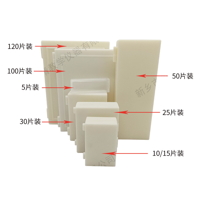 Origin supply biological slice specimen primary and secondary school Woody dicotyledonous plant stem cross-cutting microscope specimen slice