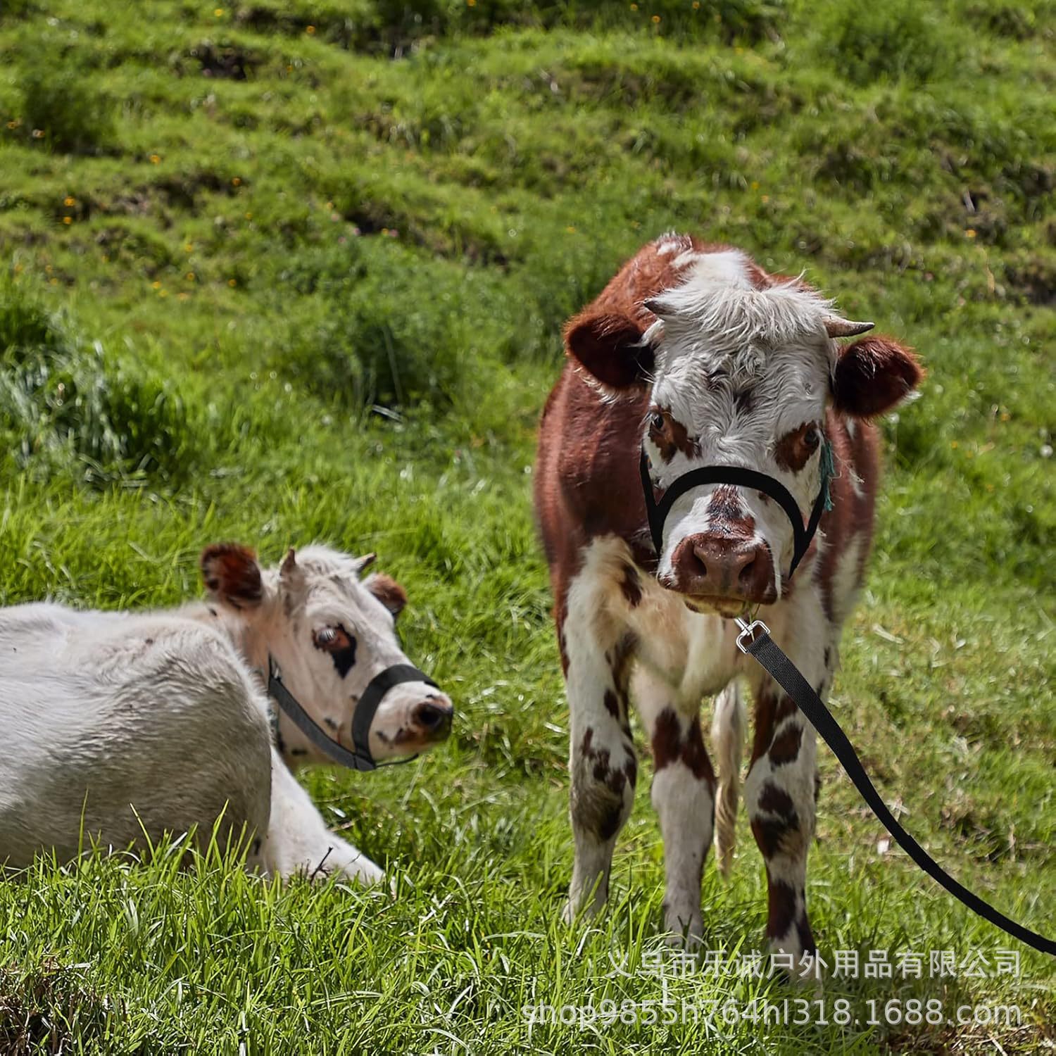 Equestrian Supplies Adjustable Cow and Horse Harness Cow and Horse Sling Traction Rope Amazon Cross-Border Dropshipping