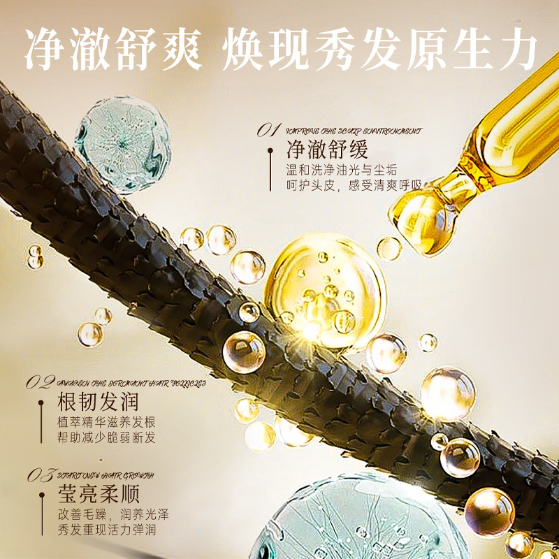 Beijing Tongrentang Inner Court Uses Polygonum Multiflorum Plant Extract Black Ganoderma Essence Shampoo Genuine Ginger Shampoo