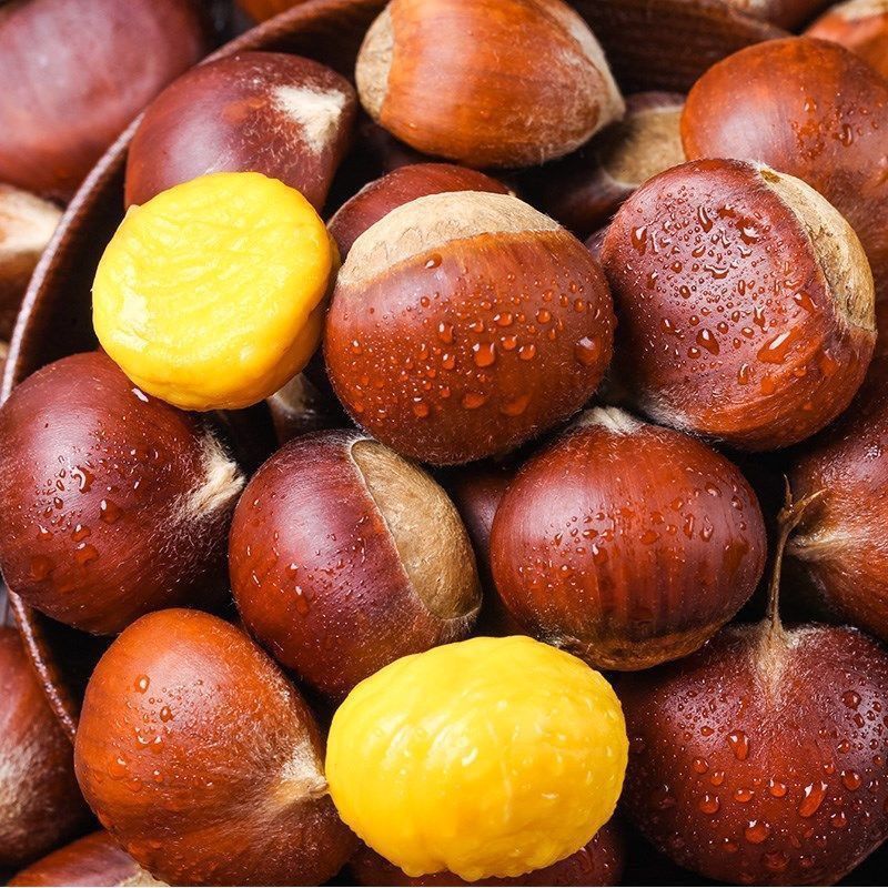 正宗【丹东板栗】生板栗新鲜采摘带壳栗子当季应季毛栗子批发