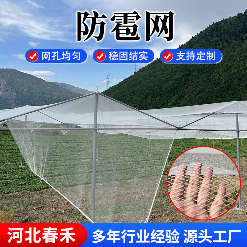 Противоградовая сетка для сада, сетка от птиц, виноградная сетка, защитная сетка для фруктовых деревьев, новая белая полиэтиленовая сетка