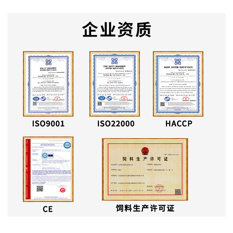 Potopet English Pet Snacks Canned Cat Snacks Cat Wet Food Tuna 170g Canned Manufacturer Wholesale