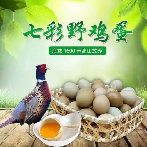 Свежие дикие яйца, цветные горные яйца, цветные дикие яйца, горные яйца, оптовая упаковка