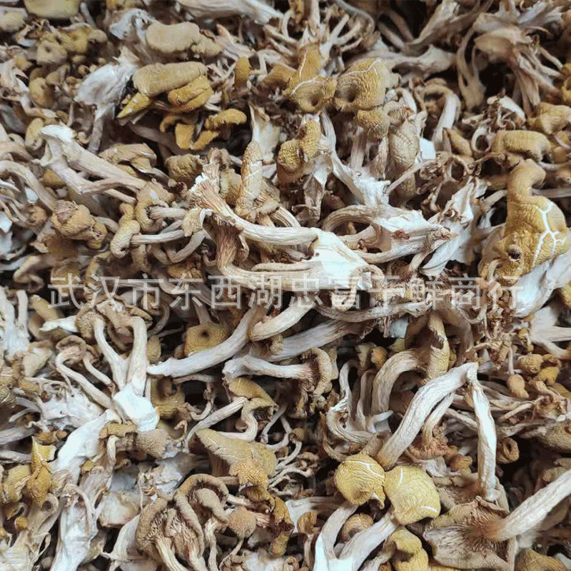 New goods chicken oil fungus dry goods soup fungus chicken oil mushroom soup bag edible mushroom bulk wholesale