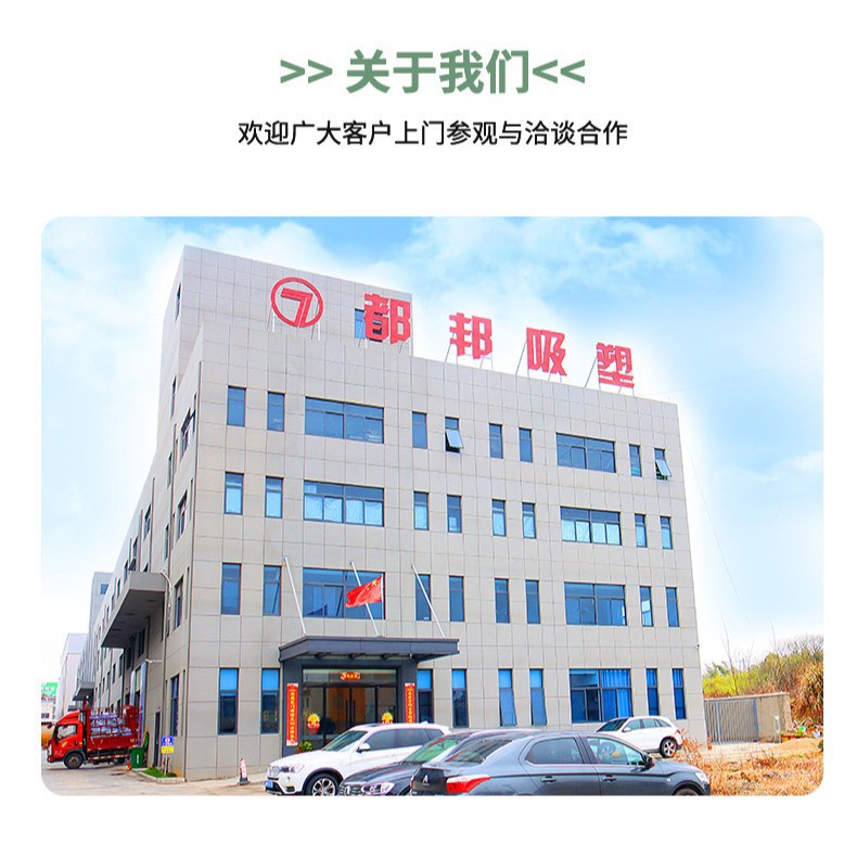 Customized 6 Pieces and 4 Pieces of Green Dumplings Packaged Disposable Tray Quick-Frozen Food Blister Inner Tray Pp Material Plastic Tray