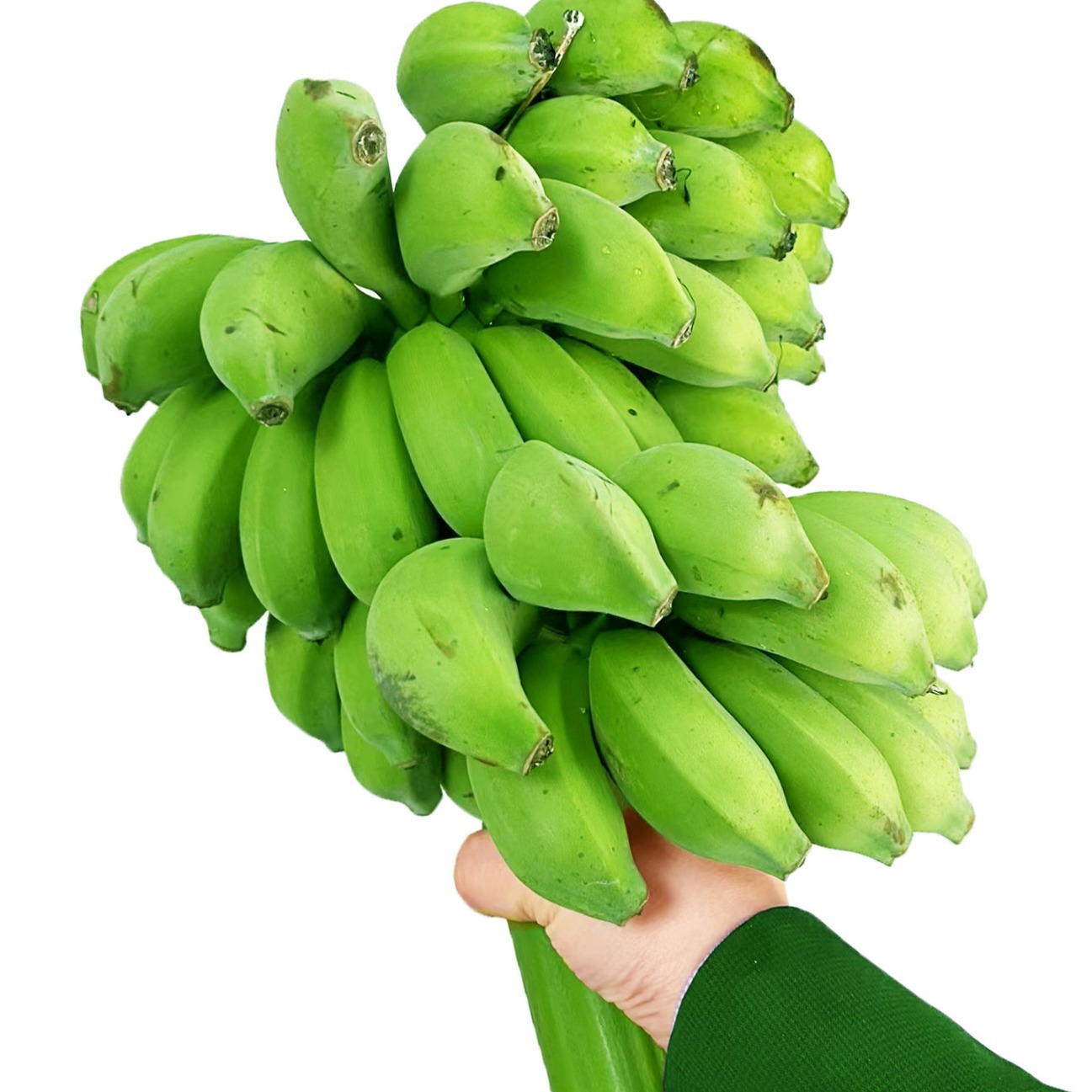 Whole Bunch of Bananas with Stems, Fresh Fruit, Hydroponic Green Plants, Anxiety-Relief, Dropshipping, Naturally Ripe, Sweet, from Guangxi