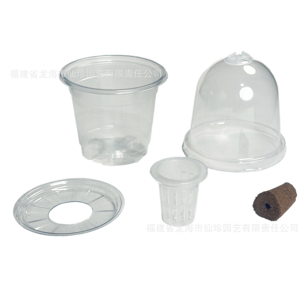 Hydroponic Seed Flower Pot Plastic Cup Root Seed Succulent Flower Fruit and Vegetable Seedling Planting Rooting and Germination Planting Basket