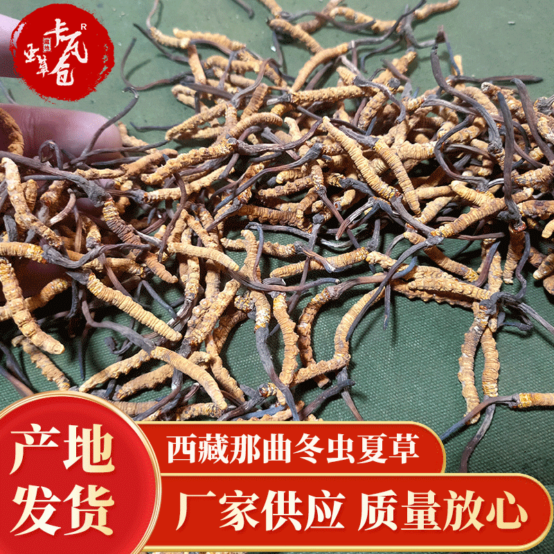 Кордцепс синенсис из Накю, Тибет, новые товары, все сухие, без поломанных корней, много спецификаций, в наличии