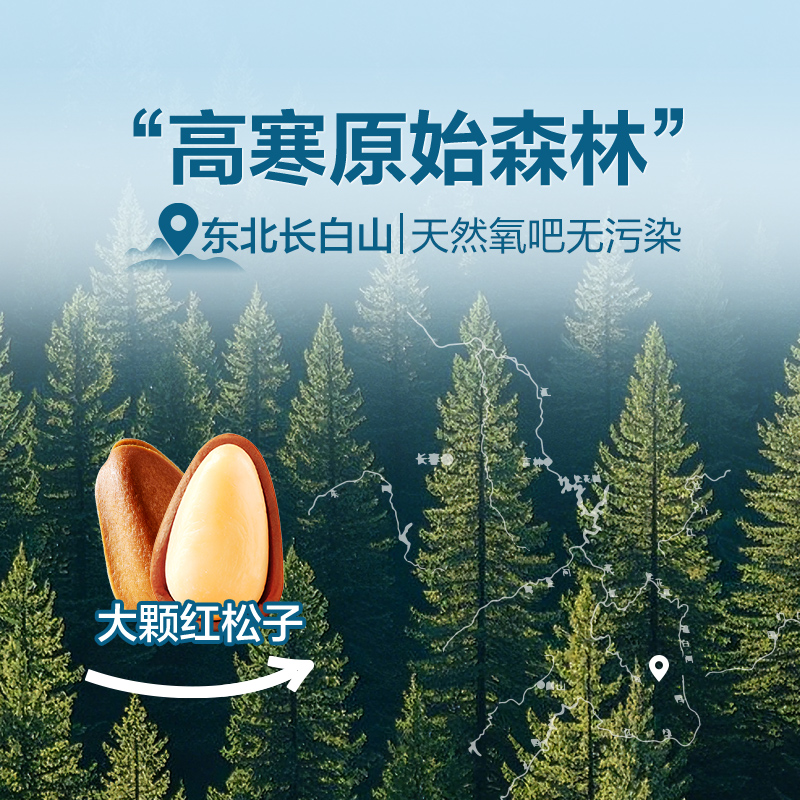 Wholesale and Retail of New Northeastern Pine Nuts in Small Packages, Large Pine Nuts, Hand-Peeled Nut Snacks