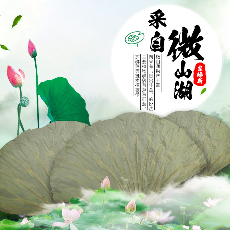 Large Dried Lotus Leaf Taibai Lake Natural Whole Dried Lotus Leaf for Lotus Leaf Chicken Glutinous Rice Chicken Whole Dried Lotus Leaf