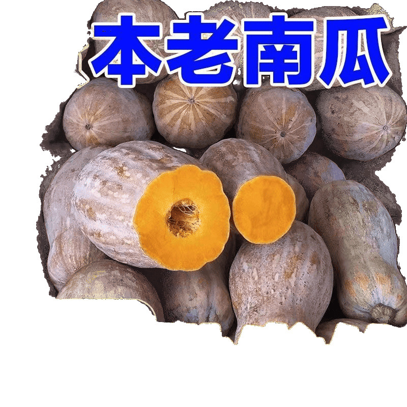 Old Pumpkin Yunnan Plateau Honey Melon, Long and Sweet, Farm Freshly Picked, Direct Supply, Small Sweet Glutinous Cow Leg Wholesale