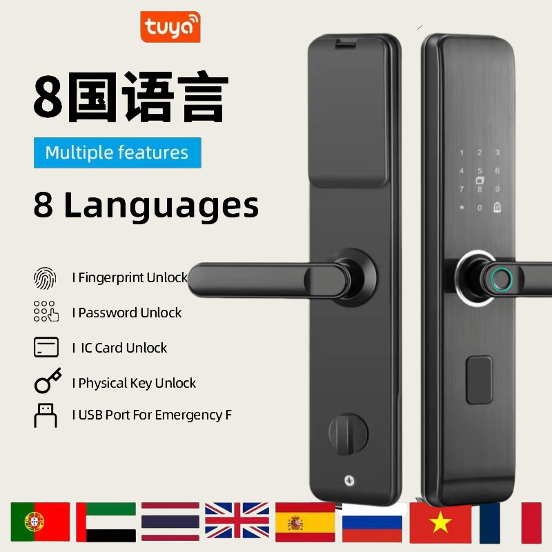 Замок безопасности с отпечатком пальца Graffiti, 4-значный парольный замок, умный дверной замок, электронный замок с картой IC