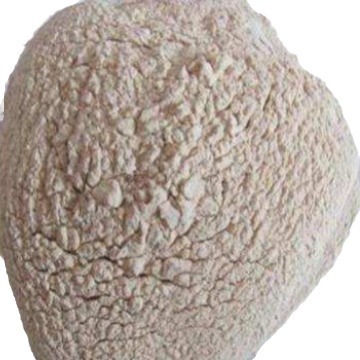 Leather Softening Enzyme Unisex Leather Softening Enzyme Leather Assistant Alkaline Leather Softening Enzyme