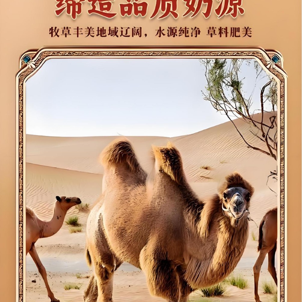 High-Calcium Camel Milk Complete Nutritional Powder for Middle-Aged and Elderly People, Whey Whole Milk Powder, Shipped from Changyue Ranch Source Factory