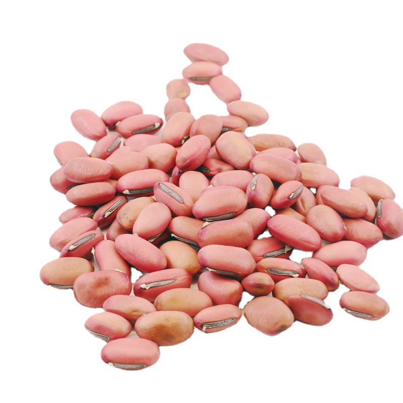 White Beans Love Beans Seed Micro Landscape Ornaments New Strange Mini Plant Crafts Student Science and Education Toys