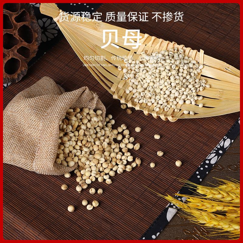 Fritillaria Sichuan bulk wholesale a generation of Sichuan sharp Fritillaria small Fritillaria pine pearl shell