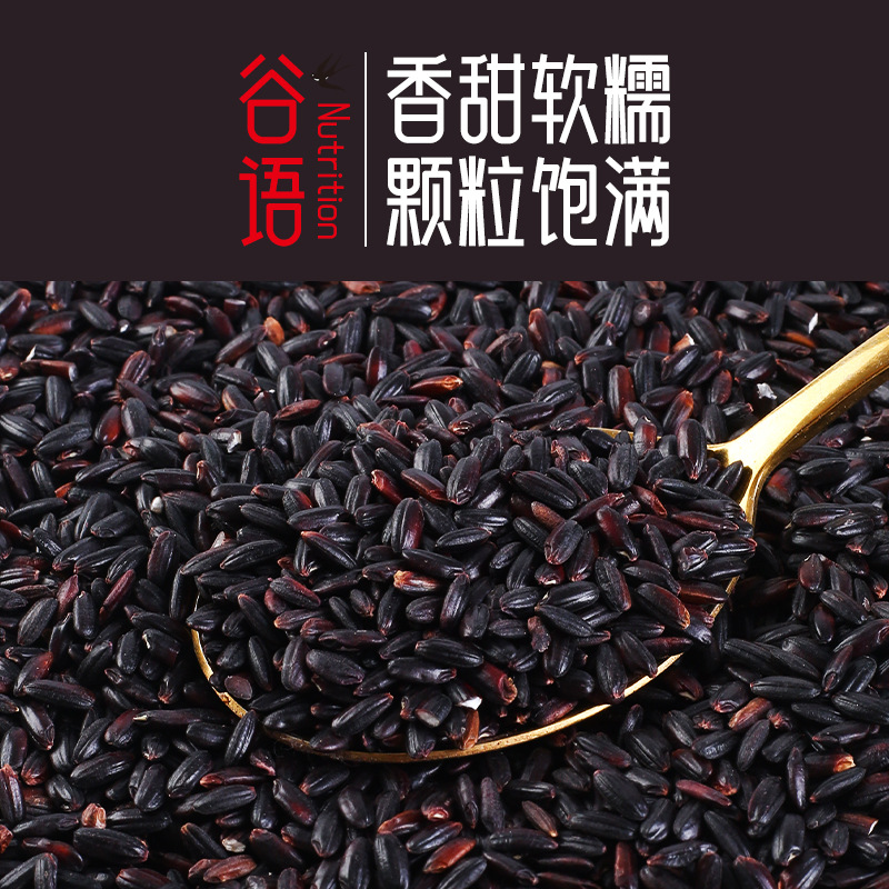 Black rice 500g vacuum loading new rice northeast black fragrant rice coarse grains cereals factory black rice wholesale processing