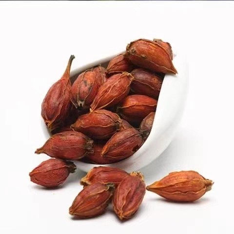 Gardenia Tea, Gardenia Tea, Red Gardenia Branches, Fresh Edible Colorant, Braised Meat, Gardenia Fruit