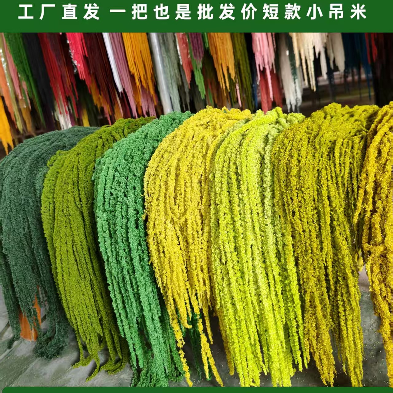 Preserved Flower Hanging, Rouli Silk Lover's Tears Short Spike Dried Flowers Wholesale, Hotel Photo Studio Decoration, Wedding Wholesale, Wedding Celebration