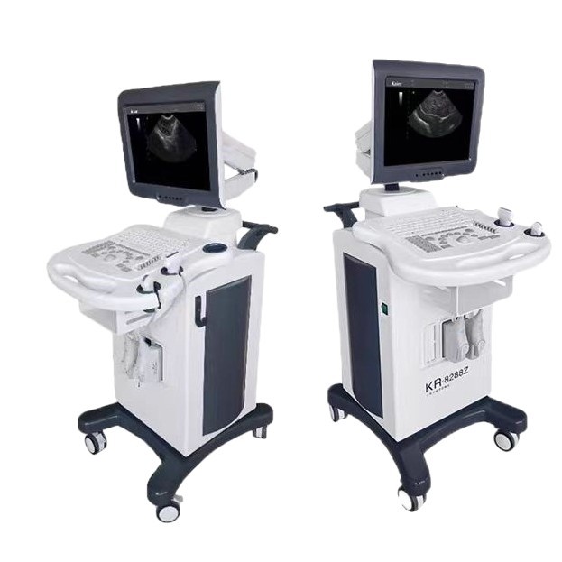 Color Ultrasound Equipment Manufacturer Price Medical Color Ultrasound B-Ultrasound Machine Three-Dimensional Four-Dimensional Hospital B-Ultrasound Machine
