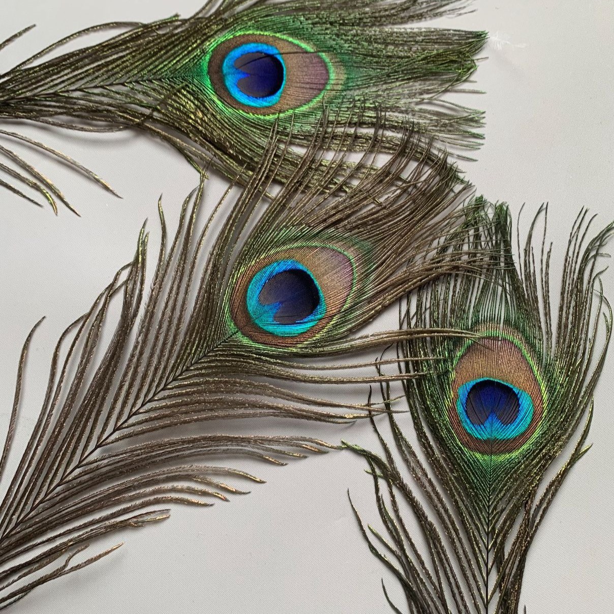 Cross border high quality natural peacock feather 25-120cm home decoration long feather vase flower arrangement decoration peacock feather